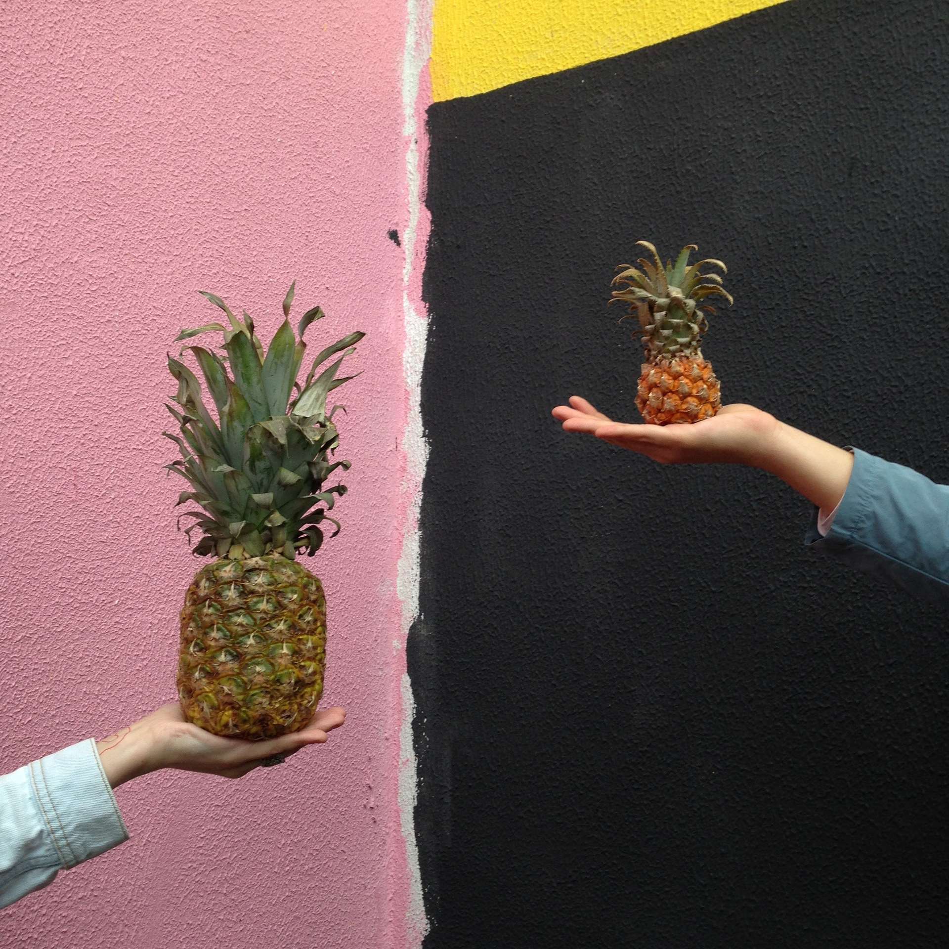 Two pineapples in peoples hands