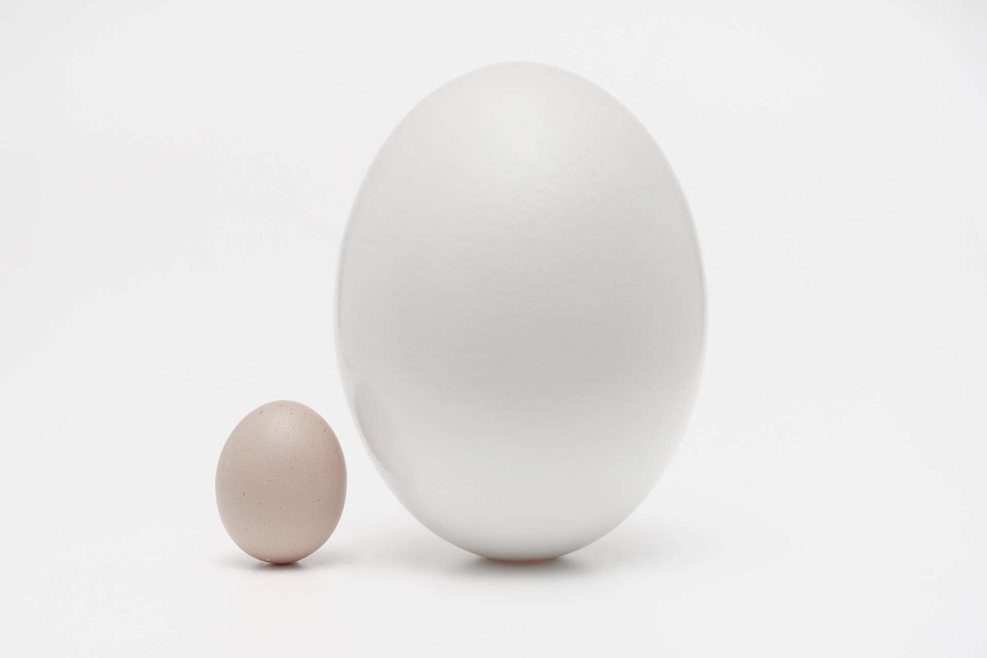 A big egg and a small egg